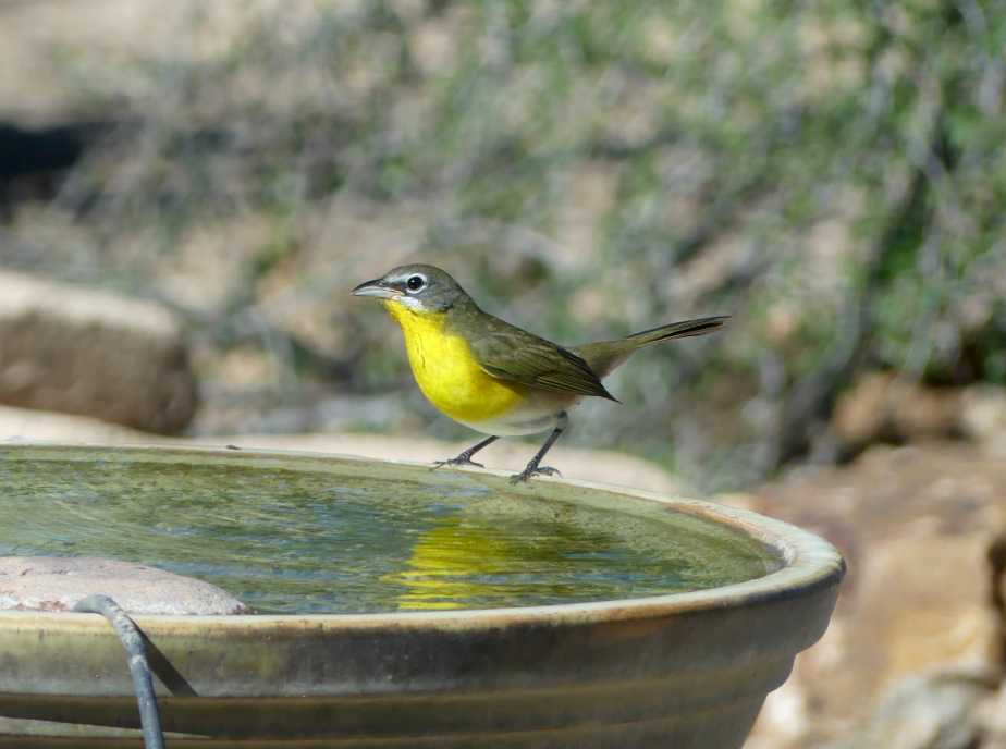 Photo by Erica Freese