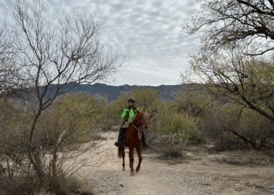 Image shows an equestrian along the Cactus Forest Trail with a view of the Rincon Mountains.