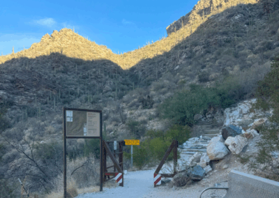Image shows a trailhead leading to the Phoneline Trail for the N-to-S route.