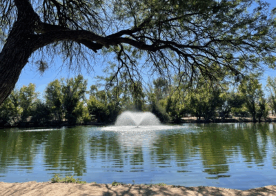 Image shows a fountain at Fort Lowell Lake along surrounding trees.