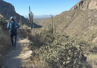 Image shows a view of Sabino Canyon and Tucson while hiking from N to S along Phoneline Trail.