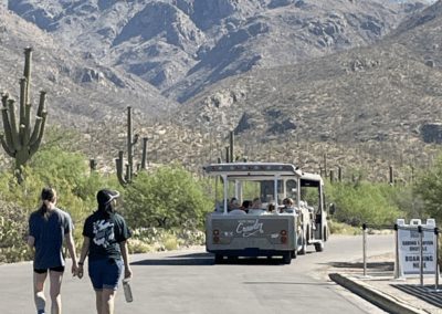 Image shows the Crawler shuttle and two hikers passing through a paved road.