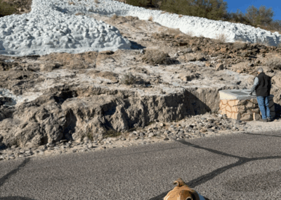 Image shows a trail that passes the big “A” with the road and a dog in the foreground.