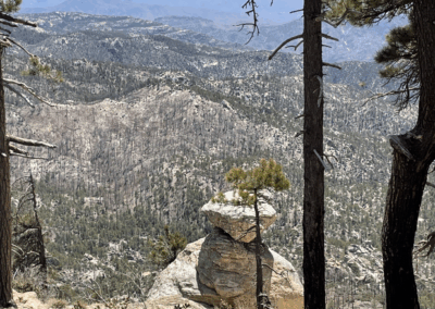 Image shows a view of Tucson and the surrounding mountains from a lookout along the trail.