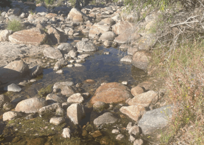Image shows pools along Sabino Creek at the southern end of the Phoneline Trail hike.