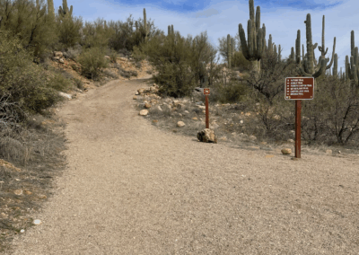 Image shows a forked dirt trail that leads to a steep incline.