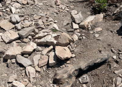 Image shows large rocks and exposed roots on the trail.