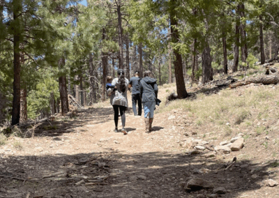 Image shows a family with small children hiking along the trail through a cluster of pine trees.