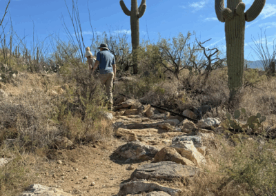 Image shows a hiker walking among desert fauna on a rocky trail.