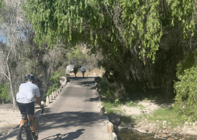Image shows a cyclist passing through trees on a paved road.