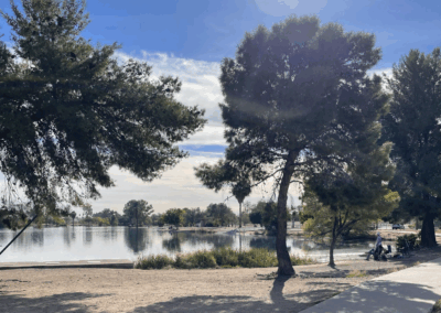 Image shows a paved lakeside route among trees that provide shade.
