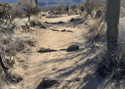 Image shows large rocks managing erosion on the Cactus Forest Trail.