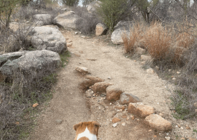 Image shows a leashed dog crossing an erosion-proof rocky trail.