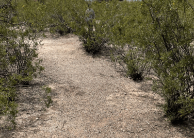 Image shows a dirt path along the desert shrubs leading to San Pedro Chapel.