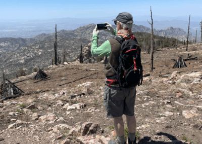 Image shows a male hiker visiting a forested area recuperating from the Bighorn Fire in 2020.