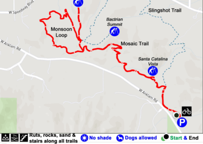 Image shows trail map provided by AllTrails.