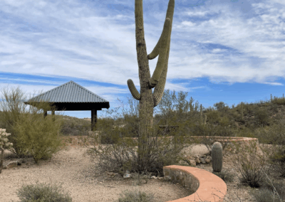 Image of an old saguaro towering over rock benches and shrubs around it.