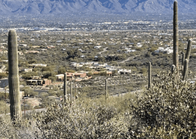 Image of an overview of the mountains, buildings, and cacti.