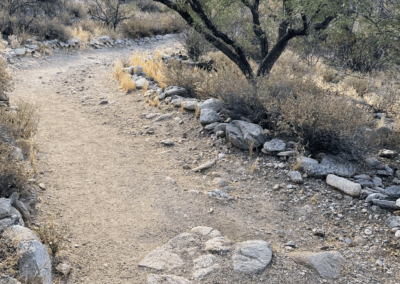 Image of rocks partially sticking out of the sandy trail.