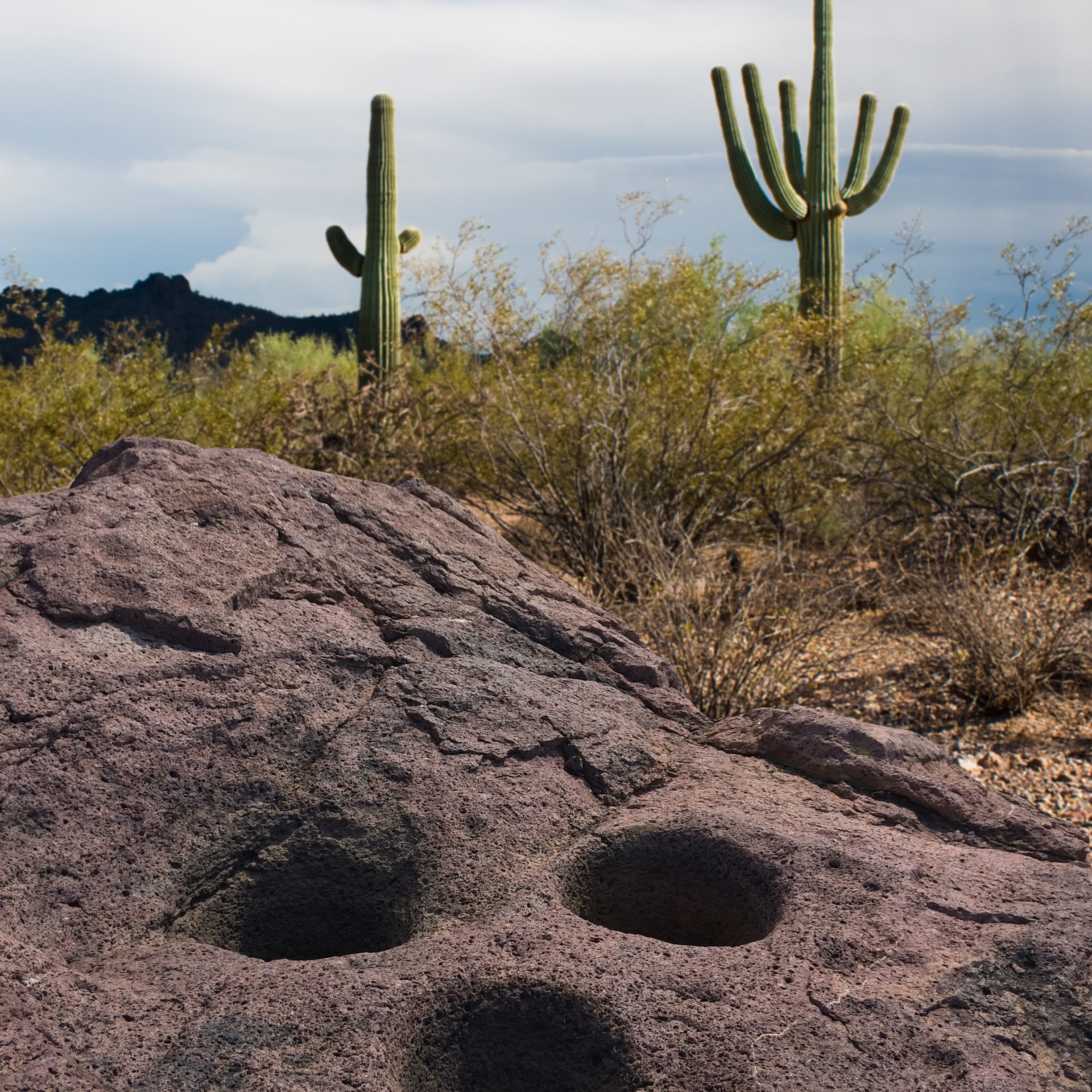 Image of the metro Tucson city skyline.