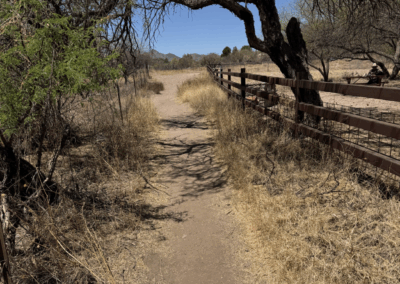 Photo of a sunny, narrow section of the dirt trail passing along a fence line.