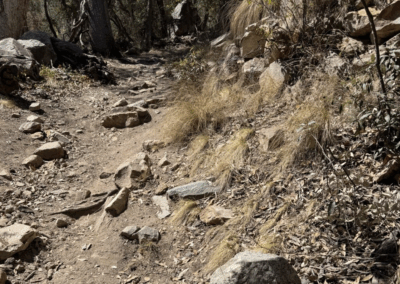 Image of a steep rocky portion of the Nature Trail.