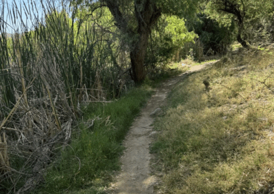 Image of a narrow portion of the trail surrounded by grass and some larger rocks.