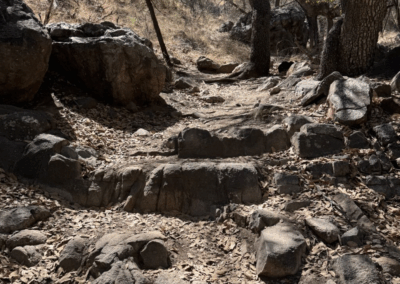 Image of large rocks forming stairs along the Nature Trail.
