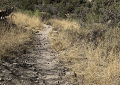 Image of the Nature Trail with dirt and medium-sized rocks and gravel.