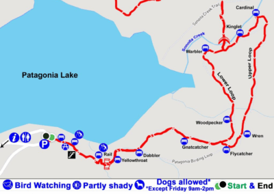 AllTrails Map of the Patagonia Lake State Park.