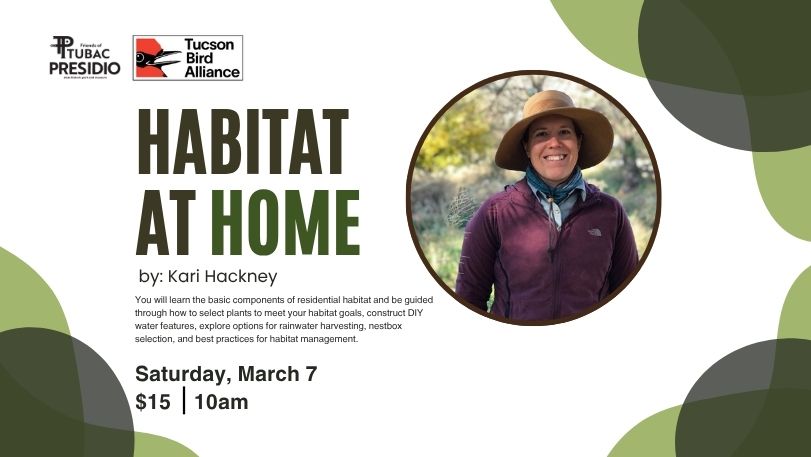 Kari Hackney 37 Website