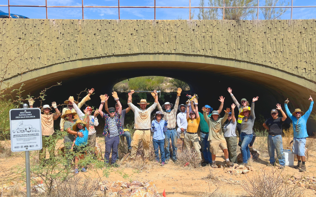 Habitat Restoration Day