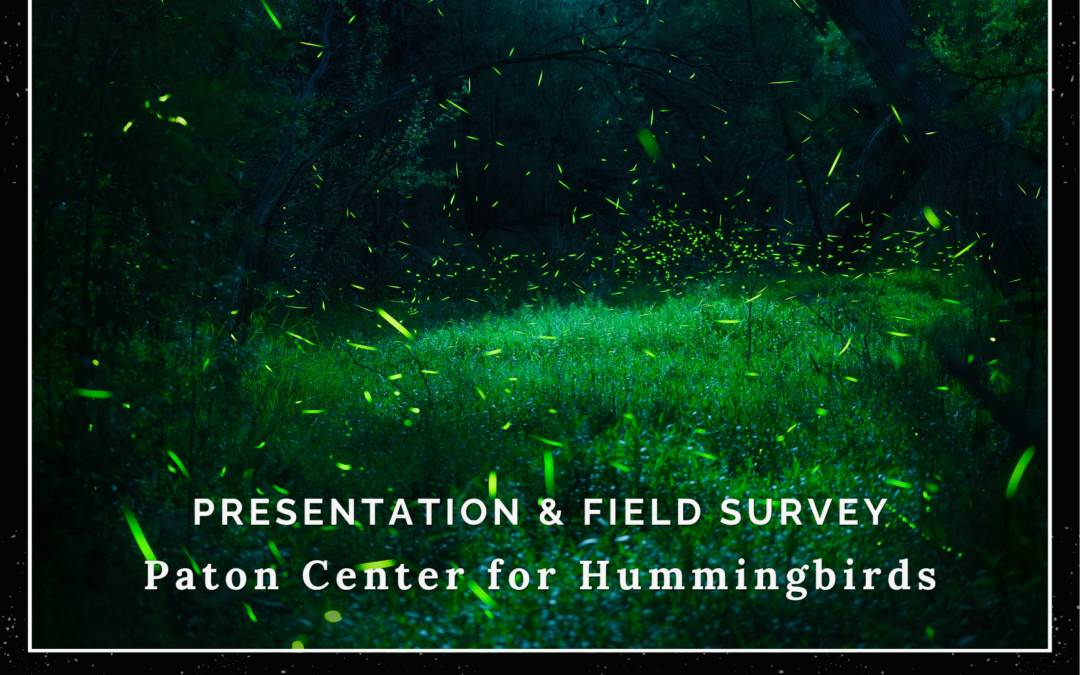 Paton Center Firefly Survey with Xerces Society